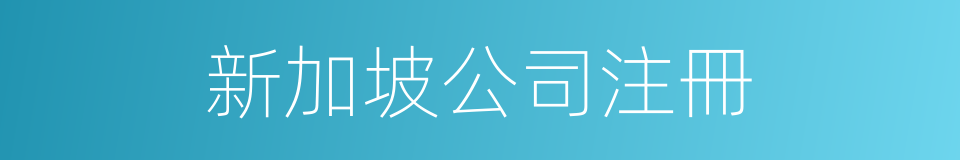 新加坡公司注冊的同義詞