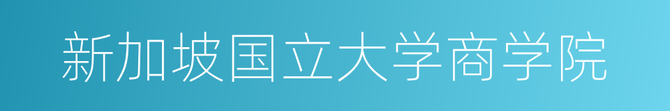 新加坡国立大学商学院的同义词