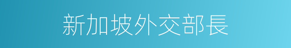 新加坡外交部長的同義詞