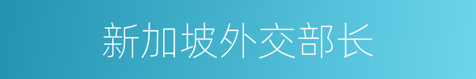 新加坡外交部长的同义词