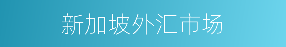新加坡外汇市场的同义词