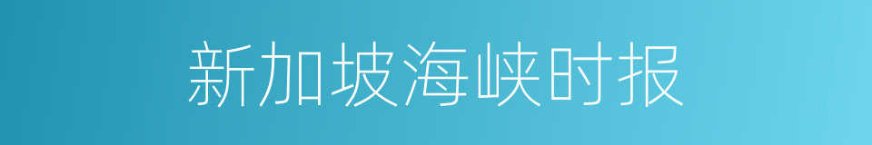 新加坡海峡时报的同义词