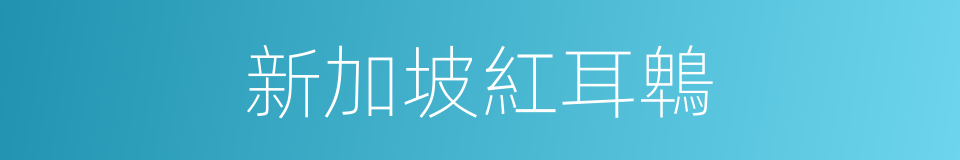 新加坡紅耳鵯的同義詞