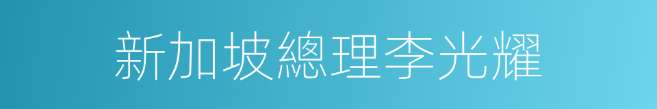 新加坡總理李光耀的同義詞