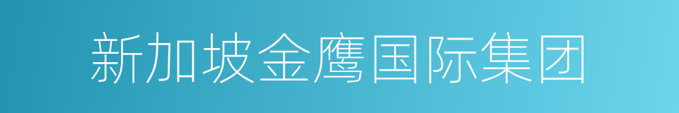 新加坡金鹰国际集团的同义词