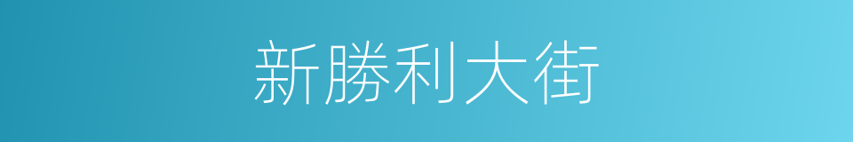 新勝利大街的同義詞