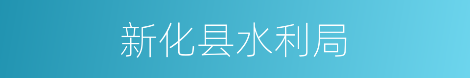 新化县水利局的同义词