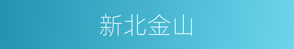 新北金山的同义词