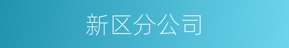 新区分公司的同义词