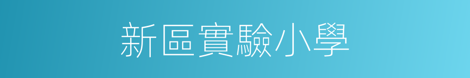 新區實驗小學的同義詞