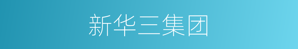 新华三集团的同义词