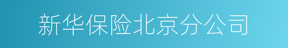 新华保险北京分公司的同义词