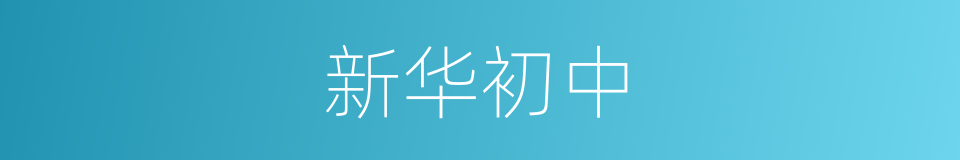 新华初中的同义词