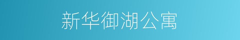 新华御湖公寓的同义词
