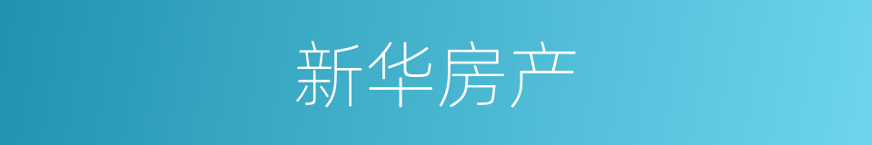 新华房产的同义词