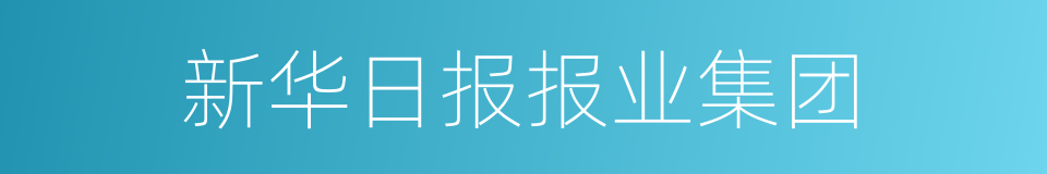 新华日报报业集团的同义词