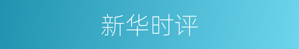 新华时评的同义词