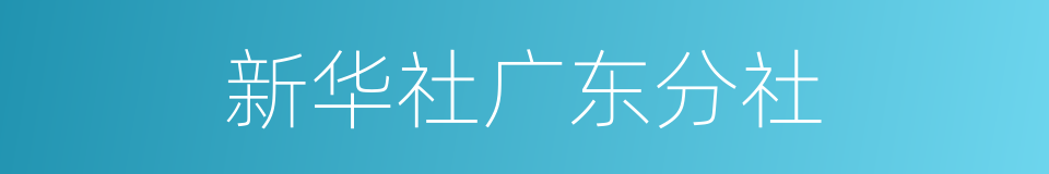 新华社广东分社的同义词