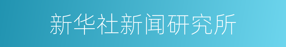 新华社新闻研究所的同义词