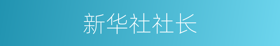 新华社社长的同义词