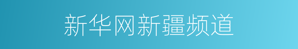 新华网新疆频道的同义词