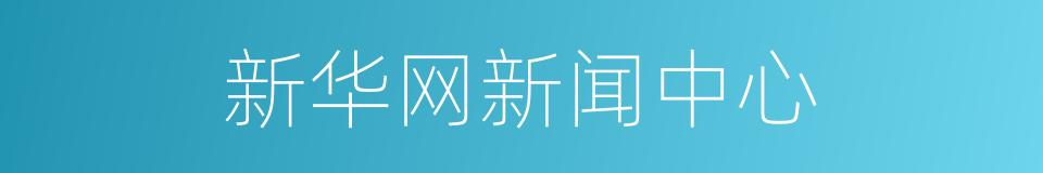 新华网新闻中心的同义词