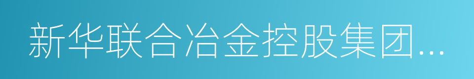 新华联合冶金控股集团有限公司的同义词