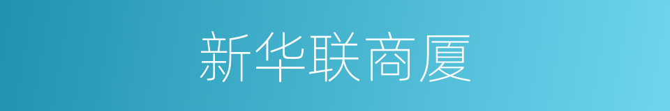 新华联商厦的同义词