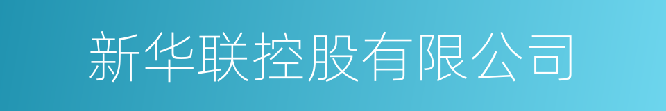 新华联控股有限公司的同义词