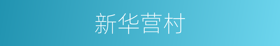 新华营村的同义词