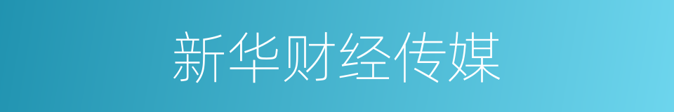 新华财经传媒的同义词
