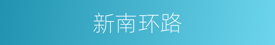 新南环路的同义词