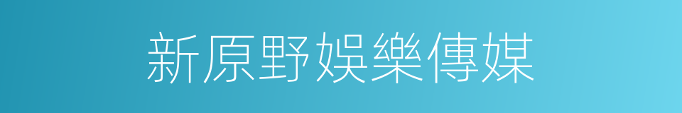 新原野娛樂傳媒的同義詞