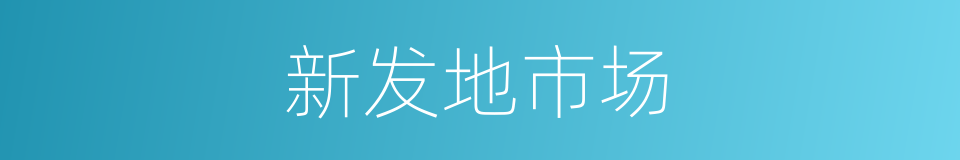 新发地市场的同义词