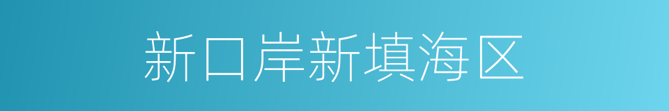 新口岸新填海区的同义词