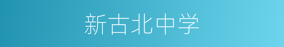 新古北中学的同义词