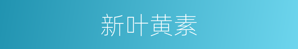 新叶黄素的同义词
