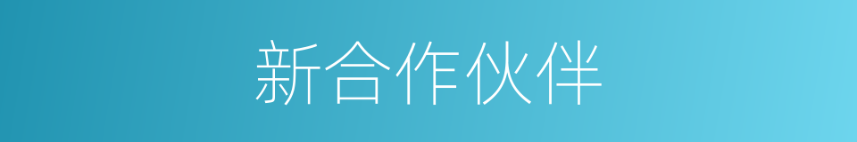 新合作伙伴的同义词