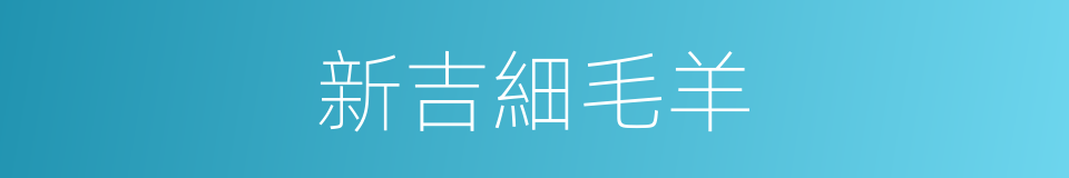 新吉細毛羊的同義詞
