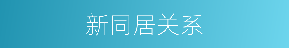 新同居关系的同义词