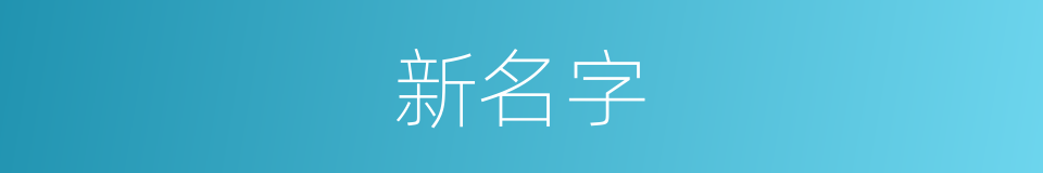 新名字的同义词