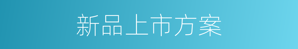 新品上市方案的同义词