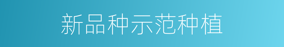 新品种示范种植的同义词