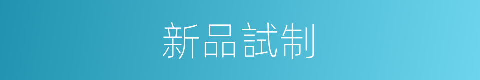 新品試制的同義詞