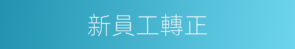 新員工轉正的同義詞