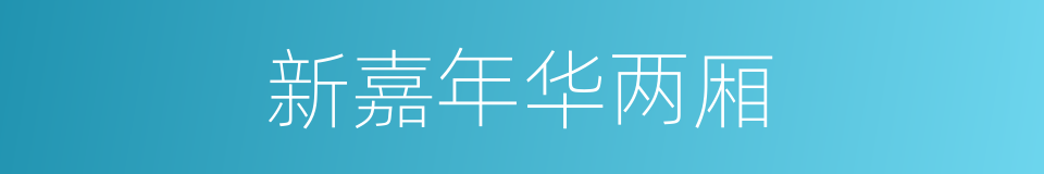 新嘉年华两厢的同义词