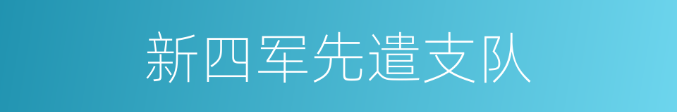 新四军先遣支队的同义词