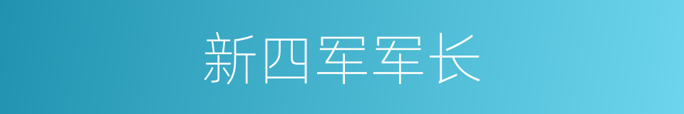 新四军军长的同义词