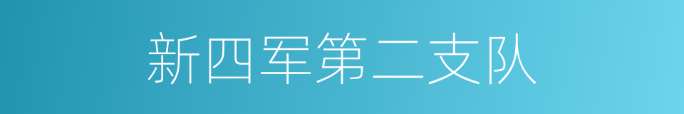 新四军第二支队的同义词