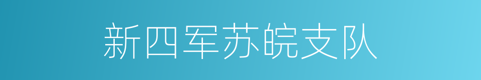 新四军苏皖支队的同义词